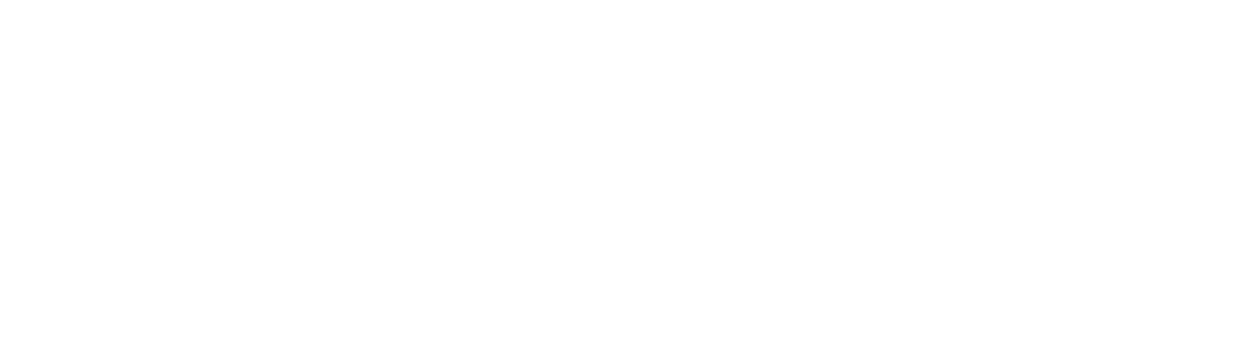 Wild Maine Vodka Seltzer